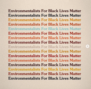 Environmentalists For Black Lives Matter