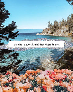 Help Keep Tahoe Blue
