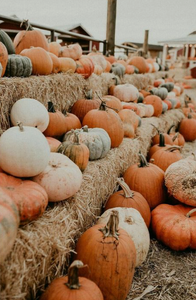 Sweater Weather Bucket-list
