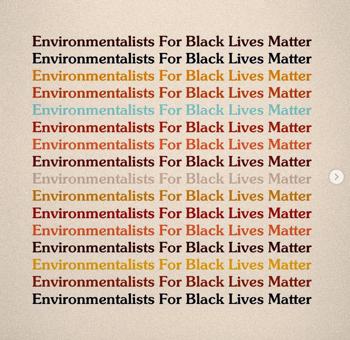 Environmentalists For Black Lives Matter