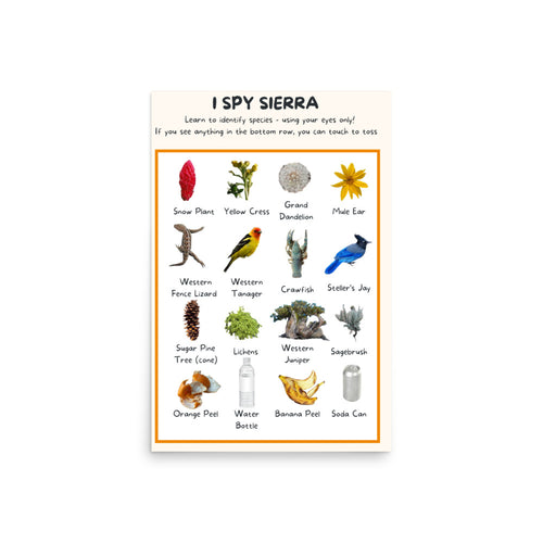 I SPY SIERRA Poster